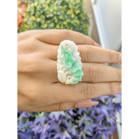28.70 Ct. Jade from China Life Style