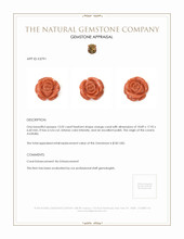 13.02 Ct. Salmon (Orange) Coral from Australia Appraisal