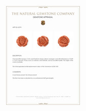 13.02 Ct. Salmon (Orange) Coral from Australia Appraisal
