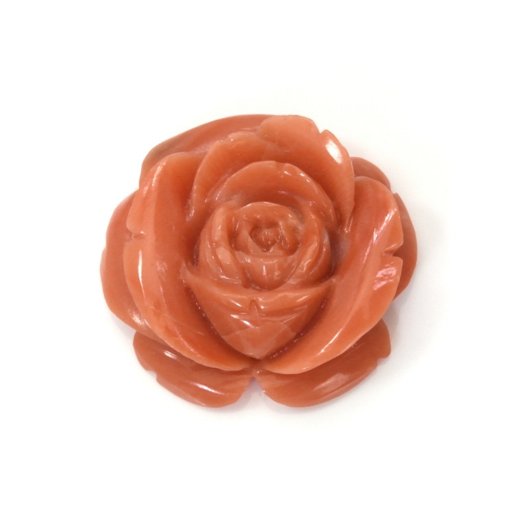 13.02 Ct. Coral from Australia