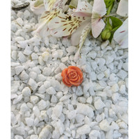 13.02 Ct. Coral from Australia Life Style