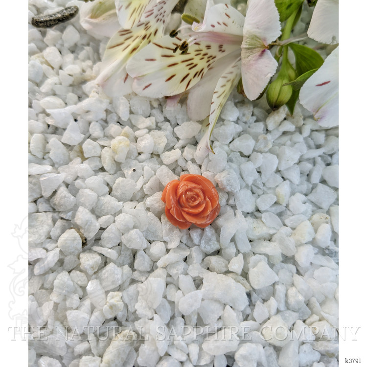 13.02 Ct. Coral from Australia