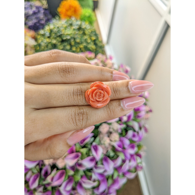 13.02 Ct. Coral from Australia