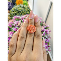 13.02 Ct. Coral from Australia Life Style