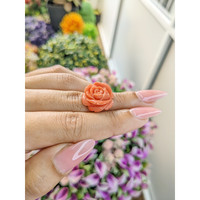 13.02 Ct. Coral from Australia Life Style