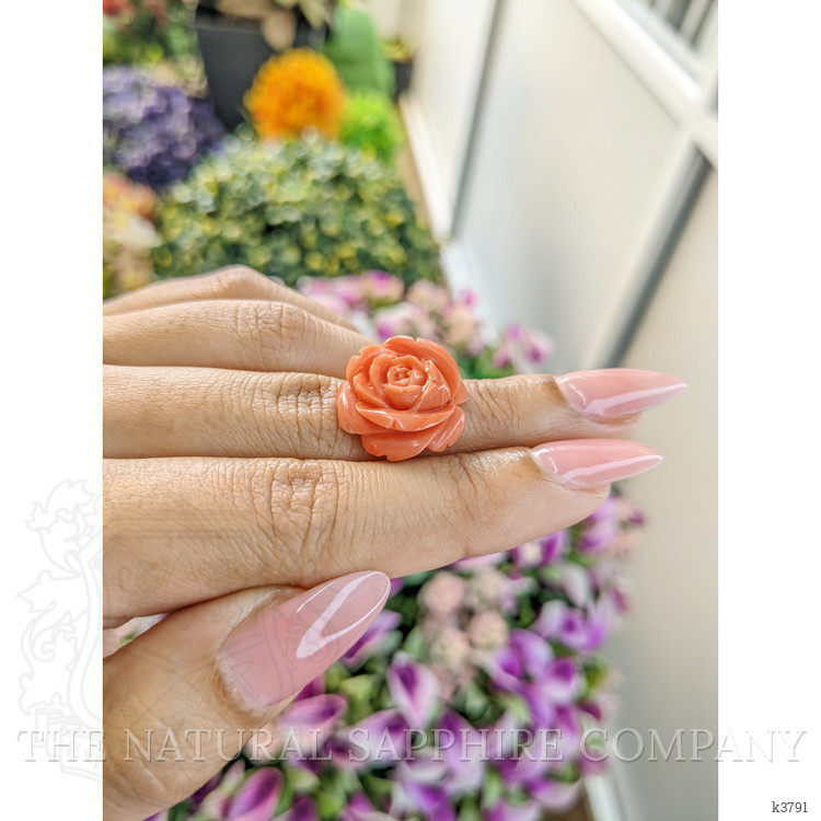 13.02 Ct. Coral from Australia