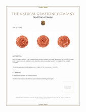 2.36 Ct. Salmon (Orange) Coral from Australia Appraisal