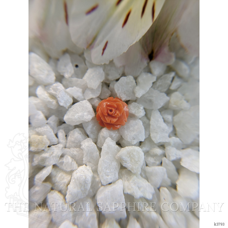 2.36 Ct. Coral from Australia