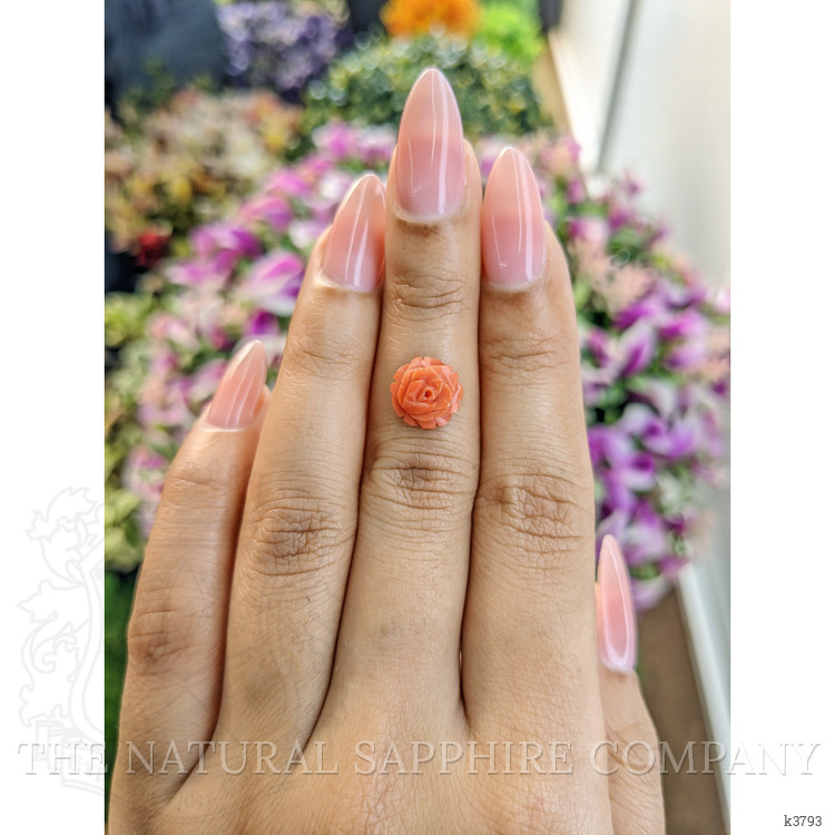 2.36 Ct. Coral from Australia