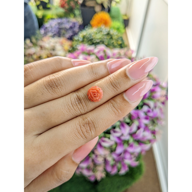 2.36 Ct. Coral from Australia