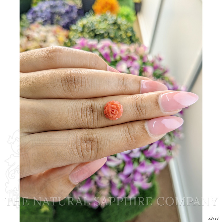 2.36 Ct. Coral from Australia