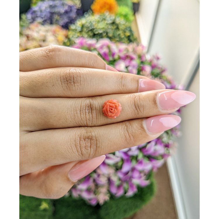 2.36 Ct. Coral from Australia