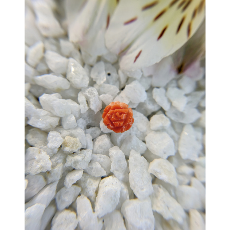 1.85 Ct. Coral from Australia