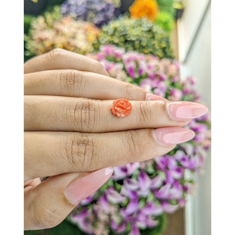 1.85 Ct. Coral from Australia