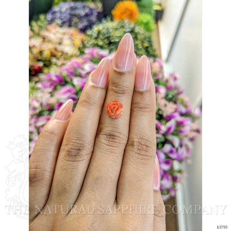 1.85 Ct. Coral from Australia