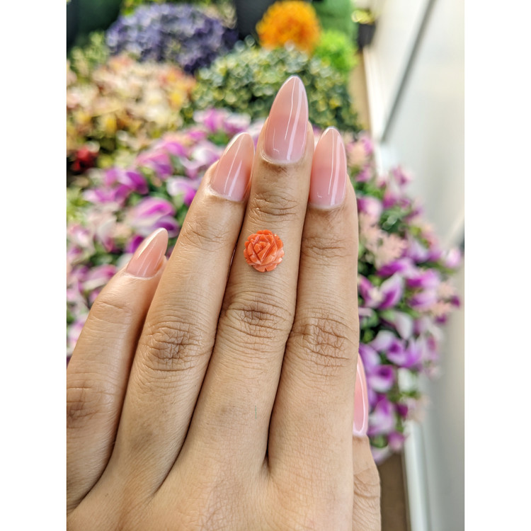 1.85 Ct. Coral from Australia