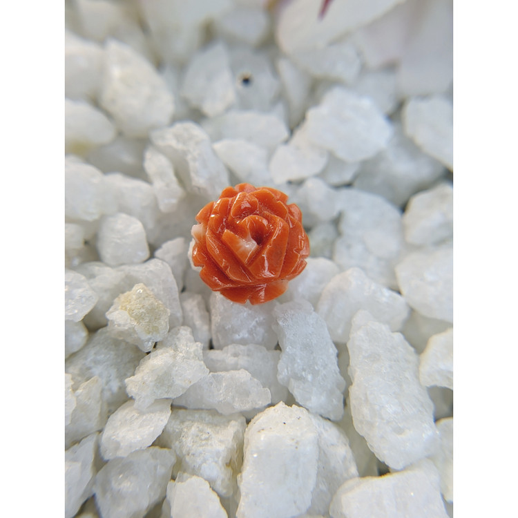 2.03 Ct. Coral from Australia
