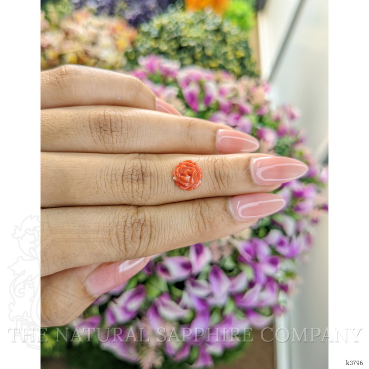 2.03 Ct. Coral from Australia