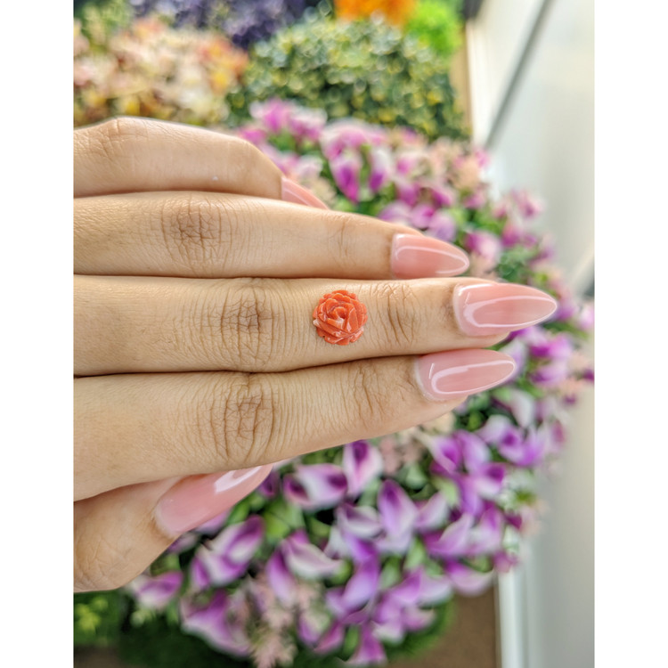 2.03 Ct. Coral from Australia