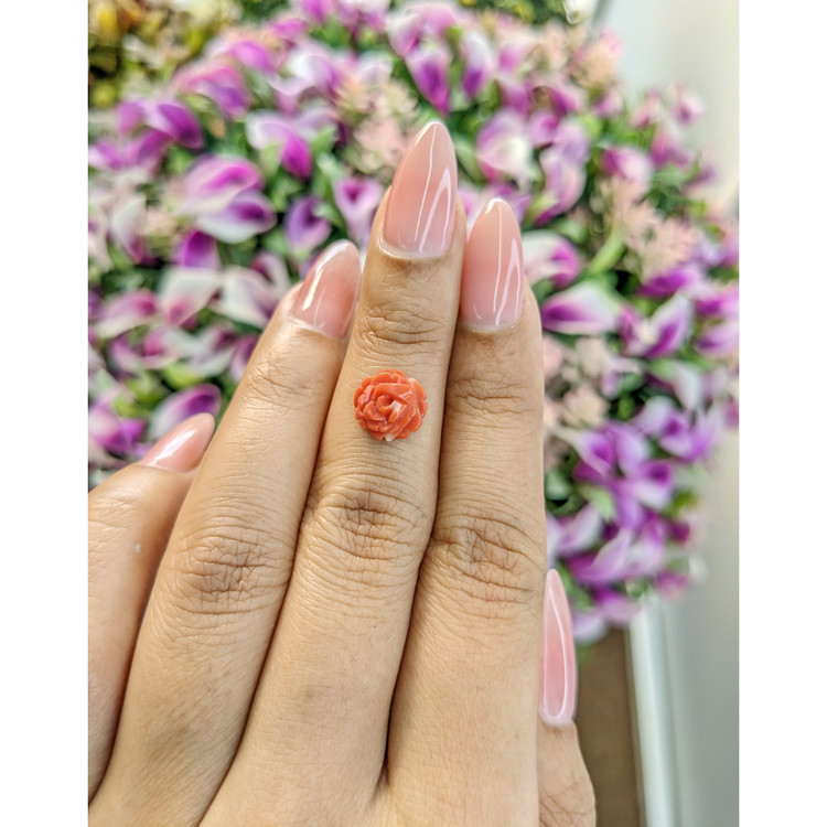 2.03 Ct. Coral from Australia