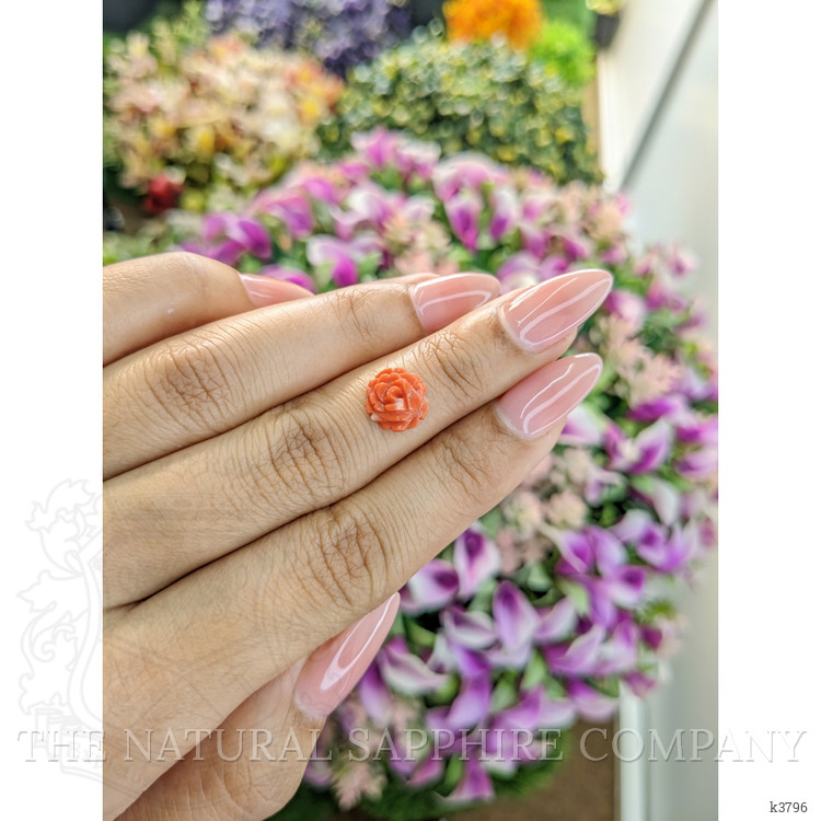 2.03 Ct. Coral from Australia