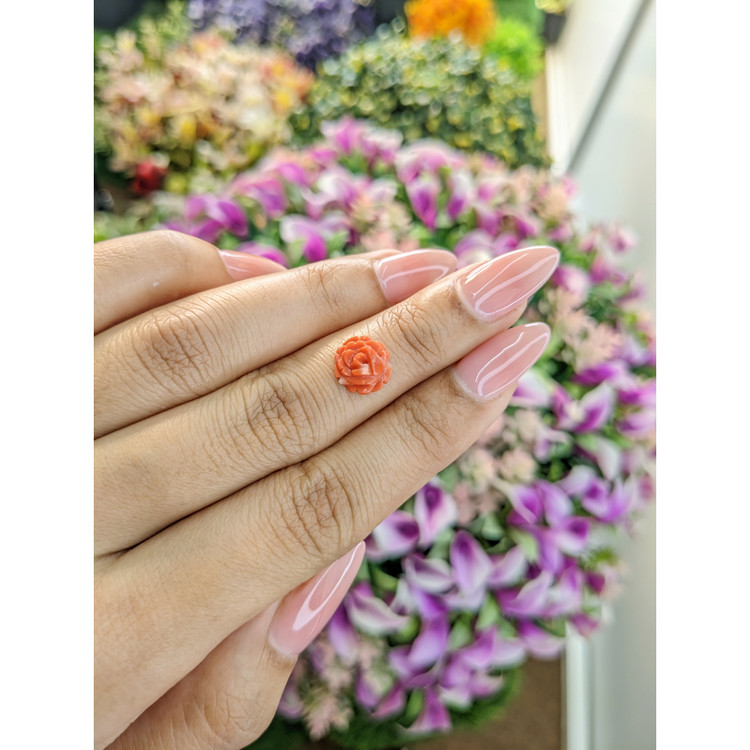 2.03 Ct. Coral from Australia