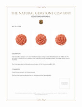 3.17 Ct. Coral from Australia Appraisal