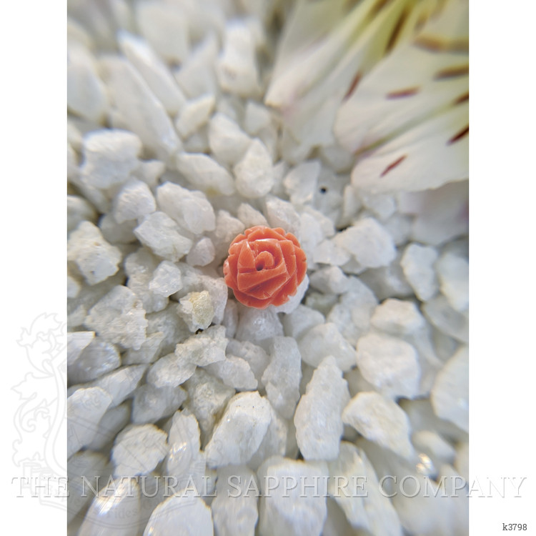 3.17 Ct. Coral from Australia