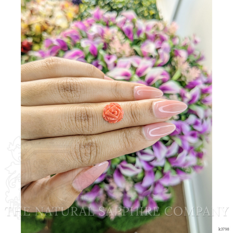 3.17 Ct. Coral from Australia