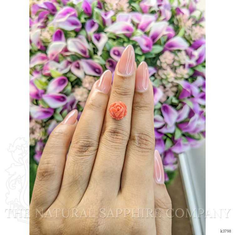 3.17 Ct. Coral from Australia