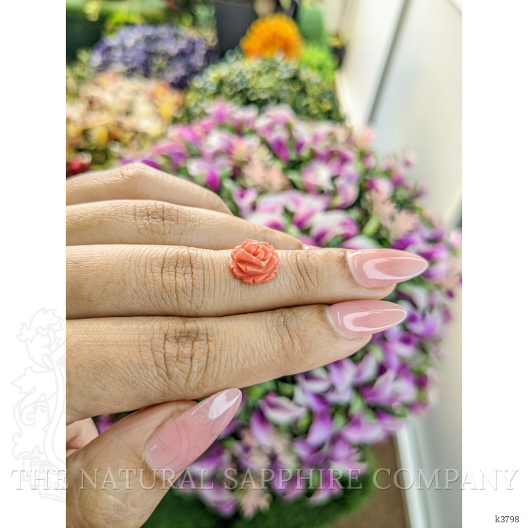 3.17 Ct. Coral from Australia