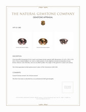 0.65 Ct. Garnet from Ceylon (Sri Lanka) Appraisal