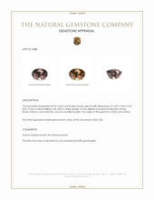 0.65 Ct. Garnet from Ceylon (Sri Lanka) Appraisal