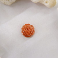 2.43 Ct. Coral from Australia Life Style