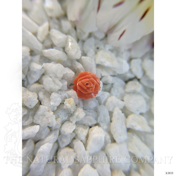 2.91 Ct. Coral from Australia