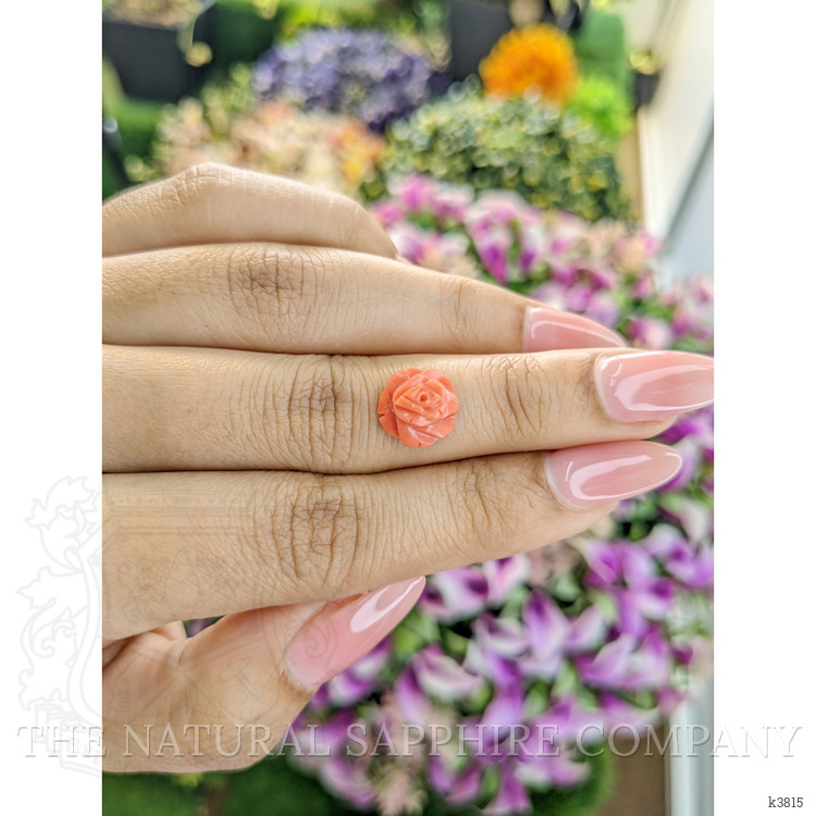 2.91 Ct. Coral from Australia