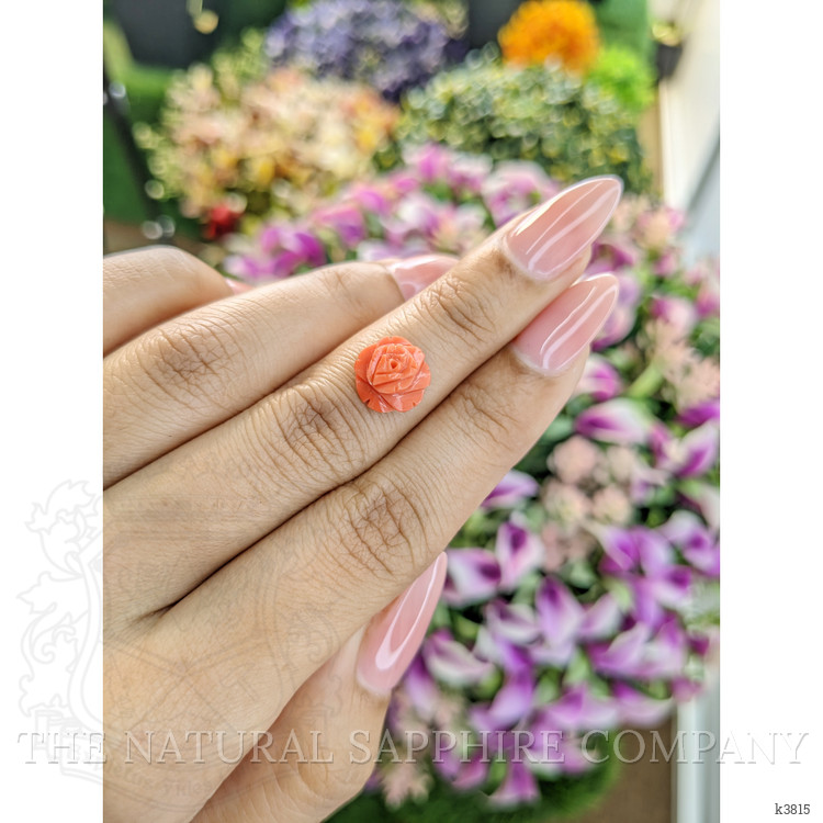 2.91 Ct. Coral from Australia