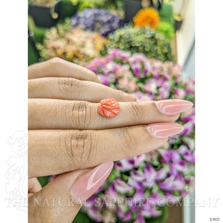 2.91 Ct. Coral from Australia