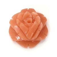 2.65 Ct. Coral from Australia Video