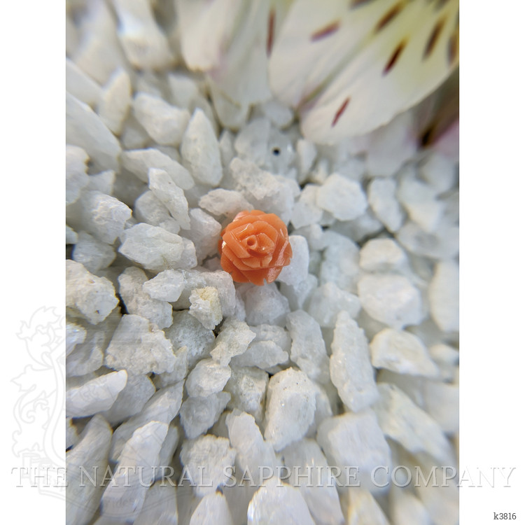2.65 Ct. Coral from Australia