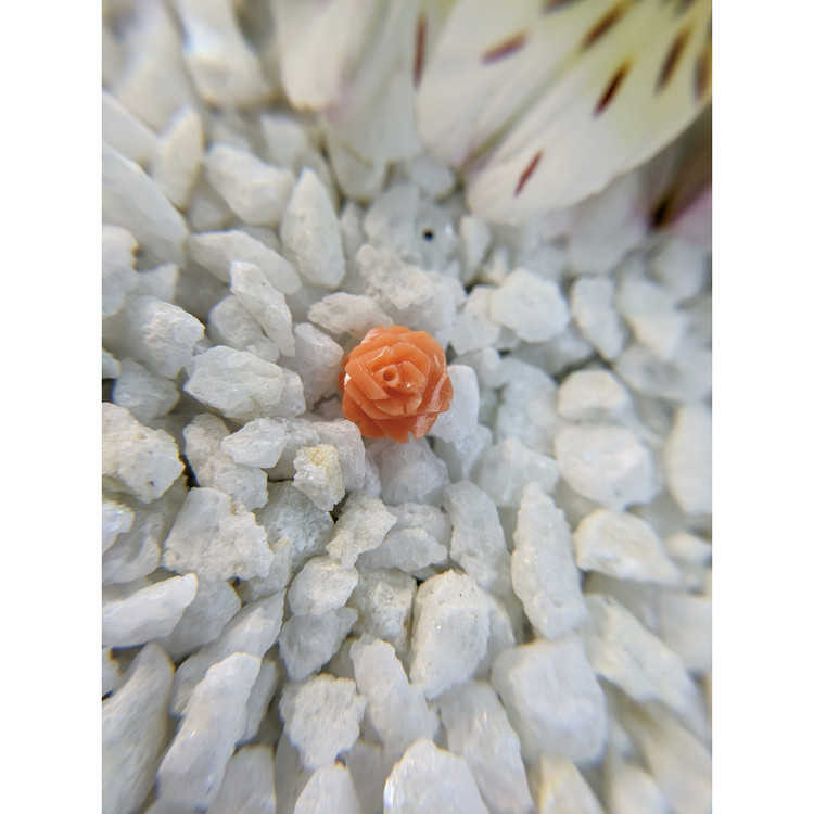 2.65 Ct. Coral from Australia