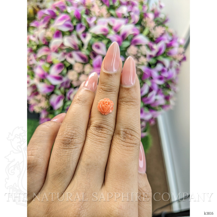 2.65 Ct. Coral from Australia