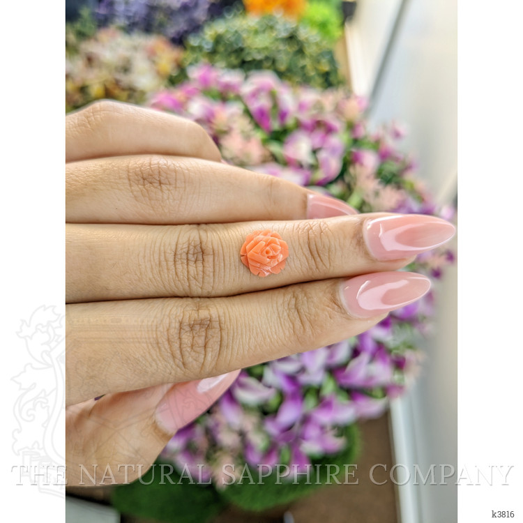 2.65 Ct. Coral from Australia