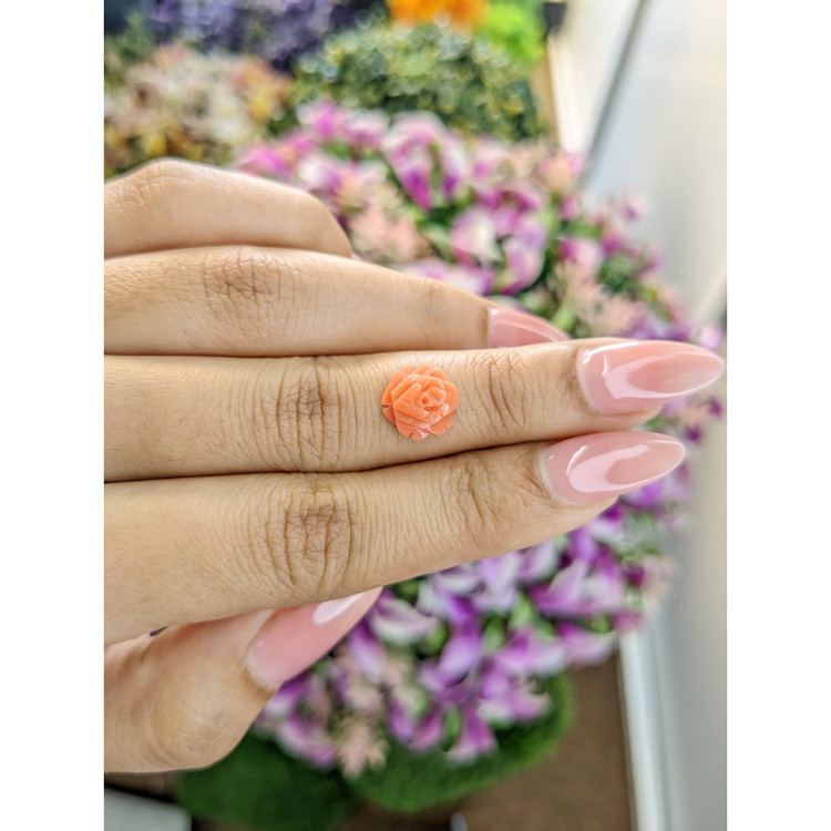 2.65 Ct. Coral from Australia