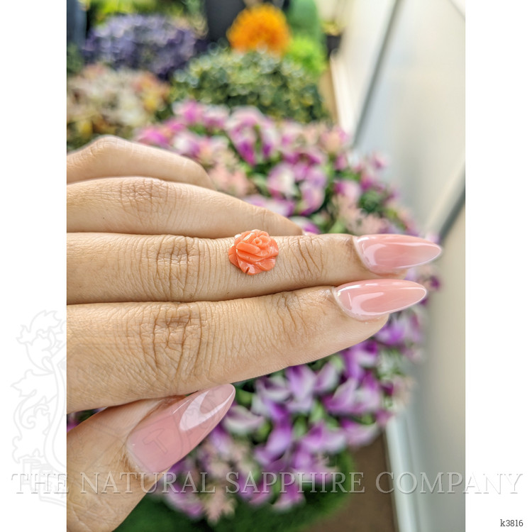 2.65 Ct. Coral from Australia