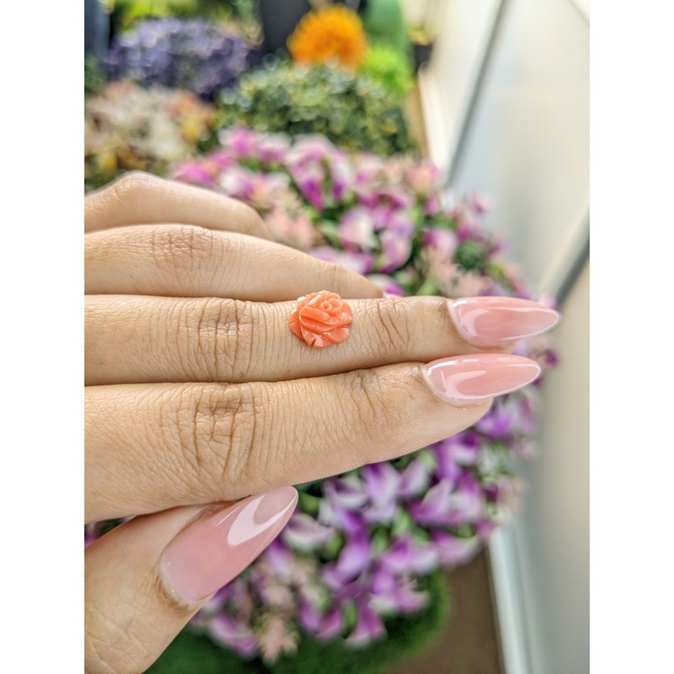 2.65 Ct. Coral from Australia