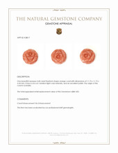 4.68 Ct. Coral from Australia Appraisal