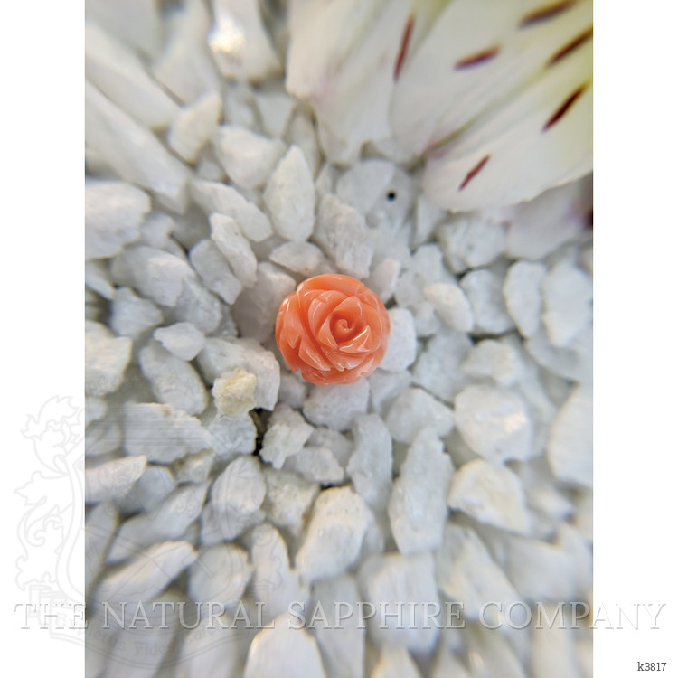 4.68 Ct. Coral from Australia