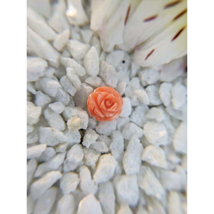 4.68 Ct. Coral from Australia