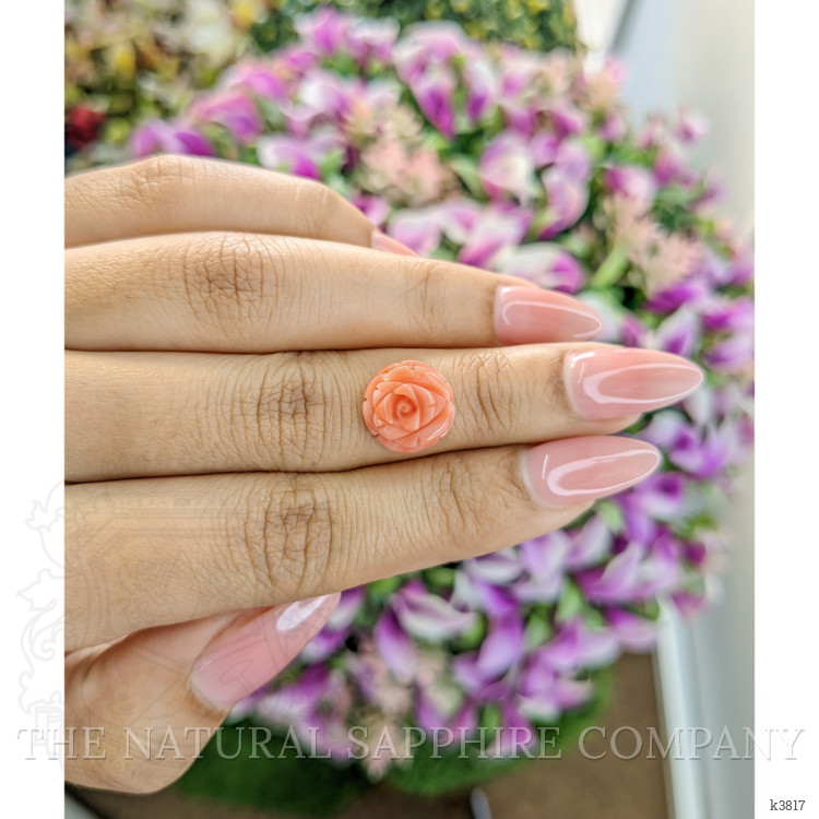 4.68 Ct. Coral from Australia